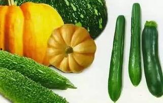 吃瓜箩,探寻民间美食的独特魅力