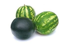 成都锦江吃瓜事件,一场引发热议的街头冲突纪实