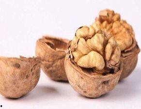 吃瓜的核桃,揭秘吃瓜群众的趣味生活