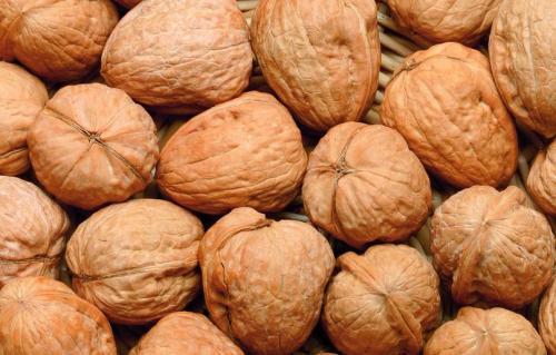 吃瓜的核桃,揭秘吃瓜群众的趣味生活