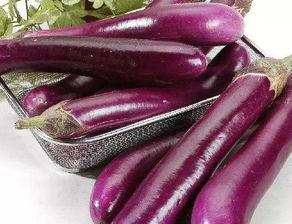 茄子小瓜咋吃,创意家常菜谱大揭秘