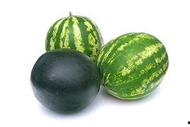 薛城吃瓜事件,一场网络舆论的风暴与反思