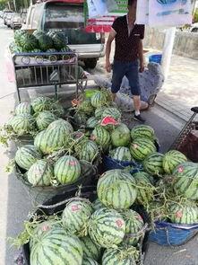 薛城吃瓜事件,一场网络舆论的风暴与反思