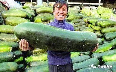 怎么吃恋爱瓜,如何轻松吃出甜蜜滋味