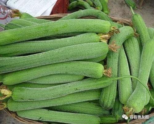 怎么吃恋爱瓜,如何轻松吃出甜蜜滋味