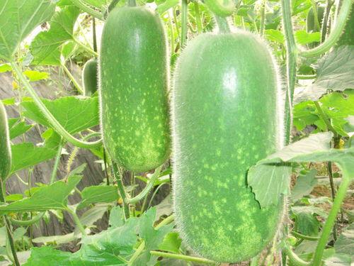 吃瓜2298tv,带你走进热门视频平台的精彩世界