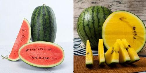 吃瓜2298tv,带你走进热门视频平台的精彩世界