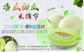 唐河县吃瓜,吃瓜群众的欢乐盛宴