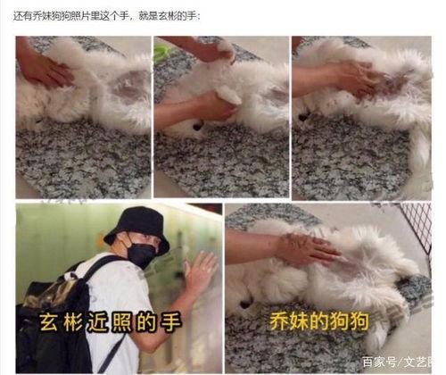 宋慧乔最近吃瓜视频,揭秘明星私生活幕后真相