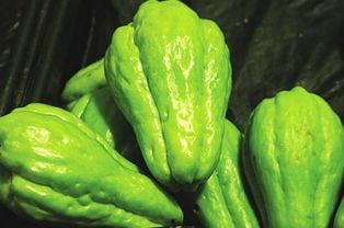 深秋还吃瓜吗,秋季吃瓜的五大理由