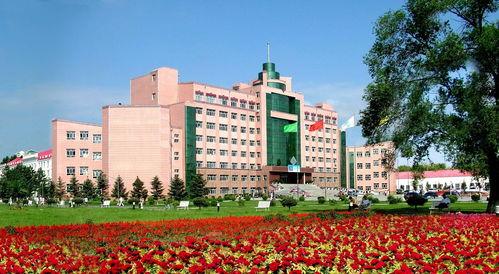 佳木斯大学吃瓜视频,揭秘校园生活趣味瞬间