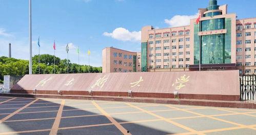 佳木斯大学吃瓜视频,揭秘校园生活趣味瞬间