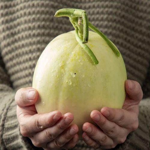 陕西女子吃瓜事件,一场网络热议背后的真相与反思