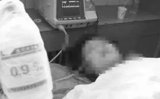 陕西女子吃瓜事件,一场网络热议背后的真相与反思