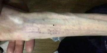 陕西女子吃瓜事件,一场网络热议背后的真相与反思