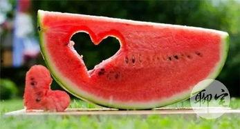 如何免费吃瓜,轻松解锁瓜界盛宴